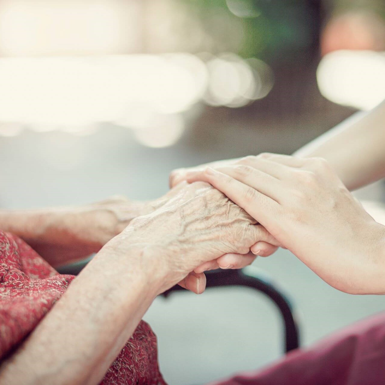Elderly Hands